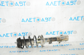Shock absorber strut assembly front left Ford Ecosport 18-21 1.0T