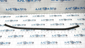 Hood seal Toyota Rav4 19- on bumper