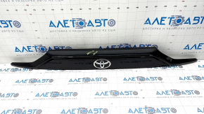 Toyota Rav4 19 trunk door molding - with emblem, black, debris under varnish