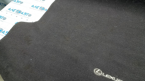 Trunk mat Lexus RX350 RX450h 16-22 rag brown, dry cleanable