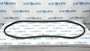 Rubber seal for the trunk door Toyota Rav4 19-