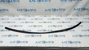 Lexus RX350 RX450h Hood Seal 16-22