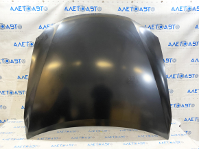 Bare hood Lexus IS250 IS350 06-13