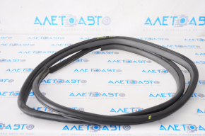Door seal rear left Toyota Prius 30 10-15 dark gray, tear