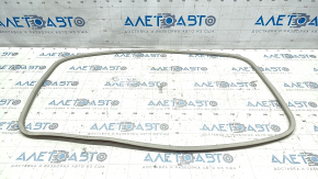 Subaru Outback 15-19 hatch seal gray