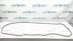 Panoramic seal BMW X5 E70 07-13