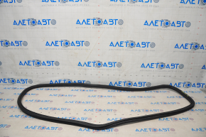 Door seal rear left VW Golf 15-21 5d black