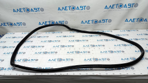 Door seal rear left BMW 3 G20 19-
