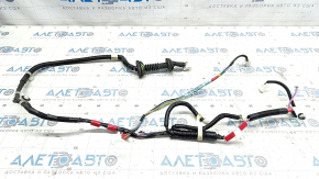 Rear Left Door Wiring Lexus IS250 IS350 06-13