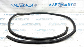 Rear left door seal for Lexus IS250 IS300 IS350 06-14