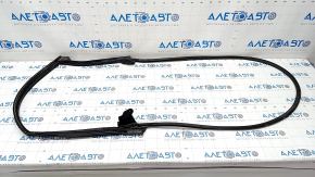 Lexus RX350 RX450h rear right door seal 16-22