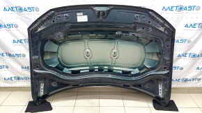 Bare hood VW Tiguan 18- green LC6Q, steel, butt, chips, sand