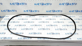 Door seal rear left VW Touareg 11-17