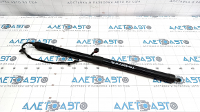 Shock absorber trunk door left VW Touareg 13-15 electric