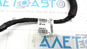 Rear left door wiring Chevrolet Volt 11-15 keyless