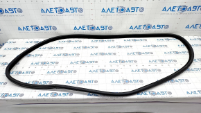 Front left door seal BMW X5 F15 14-18 worn