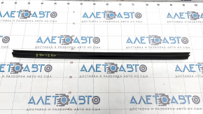 Door glass seal rear left inner BMW X5 E70 07-13