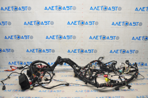 Wiring under hood front right Tesla Model S 12-20 type 2, with fuse box