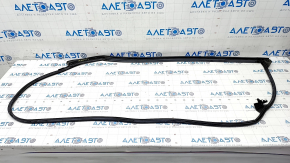 Front left door seal Toyota Prius 50 Prime 17-22