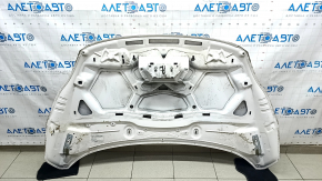 Naked hood Ford C-max MK2 13-18 iron, white UG, butt, chips, sand