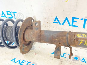 Shock absorber strut assembly front right Ford Escape MK3 13-19 straight cup, spring yellow, rusty