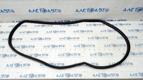 Door seal rear left Toyota Prius 50 Prime 17-22