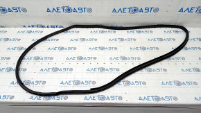 Door seal rear left Toyota Prius 50 Prime 17-22