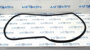 Door seal front right Toyota Prius 50 Prime 17-22