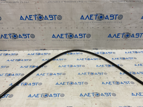 Front hood seal BMW X5 F15 14-18 on bumper
