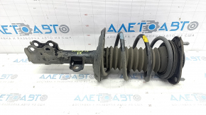 Shock absorber strut assembly front right Toyota Prius 50 Prime 17-19