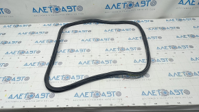 Rear right window seal Toyota Sienna 11-20 small