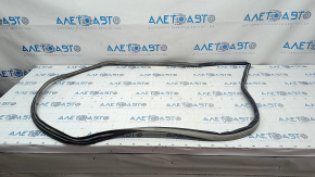 Door seal rear right Toyota Prius 30 10-15 light gray