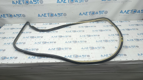 Door seal front right Toyota Camry v55 15-17 usa beige