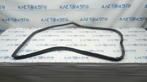 Rear left door seal for Toyota Corolla e12 02-06 5d