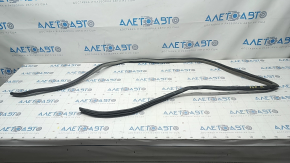 Front left door seal for Toyota Camry v30 2.4