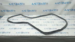 Rear left door seal for Toyota Prius 2009 (gray)