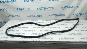 Door seal front right Hyundai Sonata 15-19 type 2