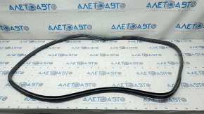 Rear right door seal for Hyundai Azera 12-17