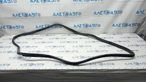 Front left door seal for Hyundai Azera 12-17