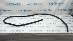 Door seal rear right Lexus LS460 LS600h 07-12 gray