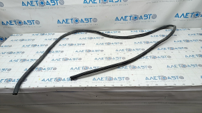 Door seal front left Lexus Hs250h 10-12