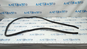 Door seal front left Lexus Hs250h 10-12