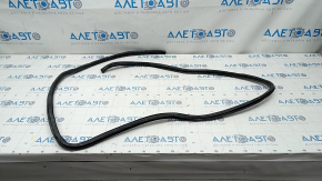 Front right door seal for Lexus Hs250h 10-12