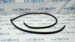 Lexus ES300 ES330 rear left door seal, beige