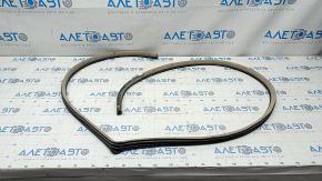 Lexus ES300 ES330 rear left door seal, beige