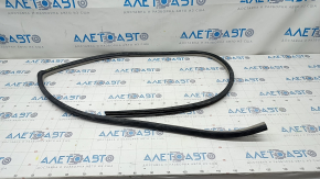 Rear left door seal for Lexus ES300 ES330, gray