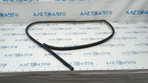 Lexus ES300 ES330 rear right door seal, beige