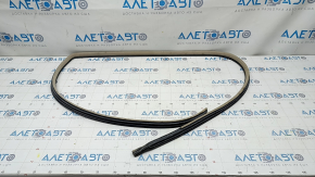 Lexus ES300 ES330 rear right door seal, beige