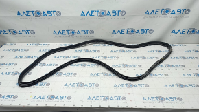 Rear left door seal for Lexus IS200 IS300 99-05