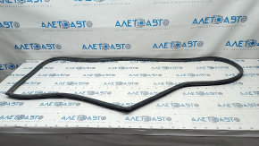 Subaru b10 Tribeca rear left door seal
